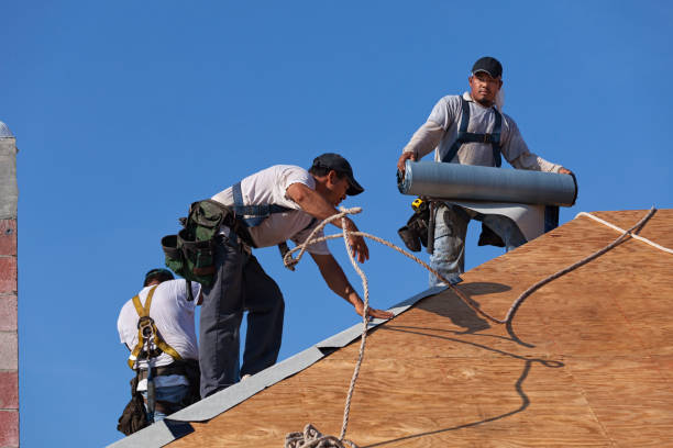 Best Emergency Roof Repair  in Paden City, WV