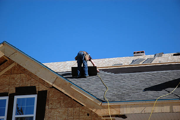 Best Roof Leak Repair  in Paden City, WV