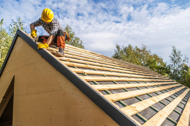 Best Roof Gutter Cleaning  in Paden City, WV