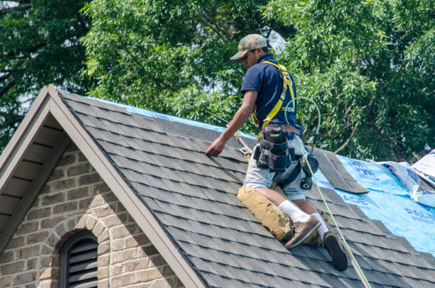 Best Roof Gutter Cleaning  in Paden City, WV